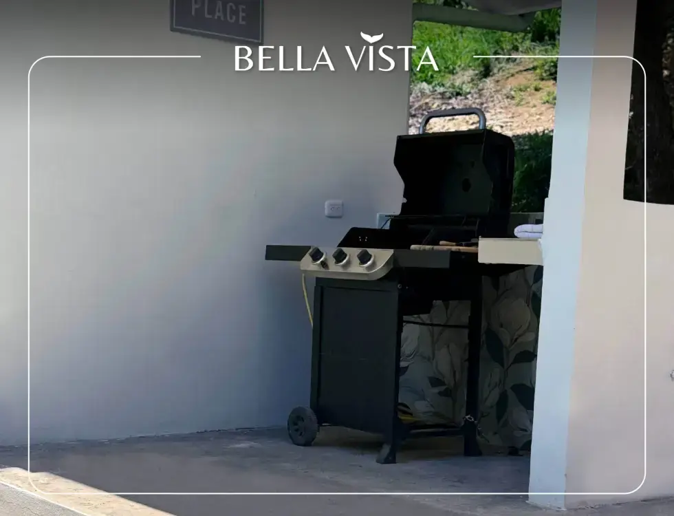 Outdoor BBQ